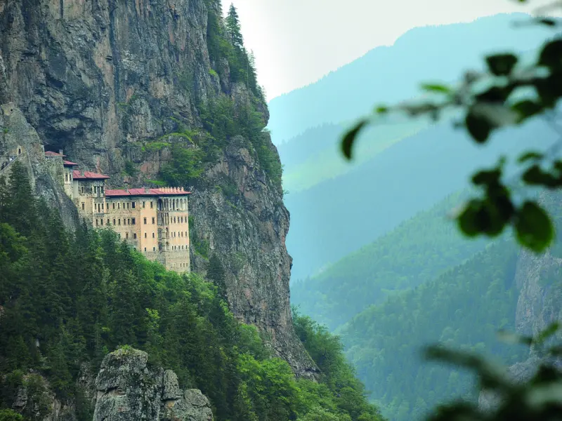 大白微问答|如何提升自己