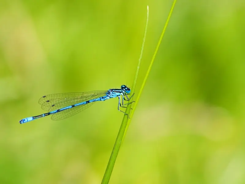 去他娘的前任，我才不挽回呢！