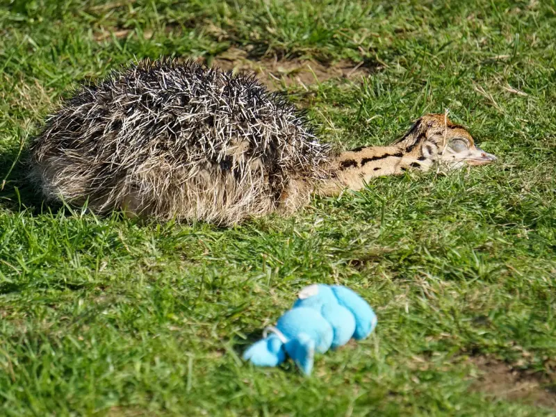 恋爱指南：和一个不会聊天的男朋友谈恋爱是什么感受？