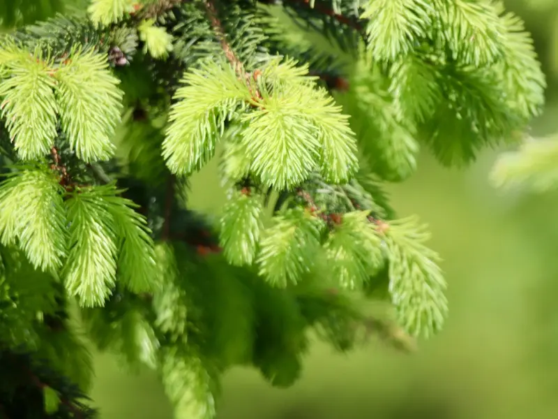 谈恋爱技巧，五条女生非常实用的技巧