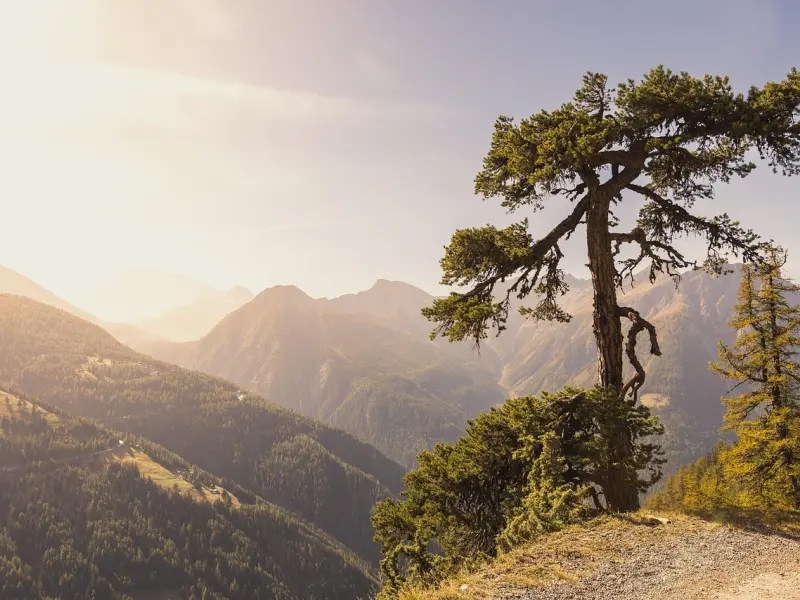 约会技巧：如何才能制造出一场完美的约会？