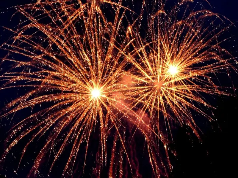 12月21日 最新公告