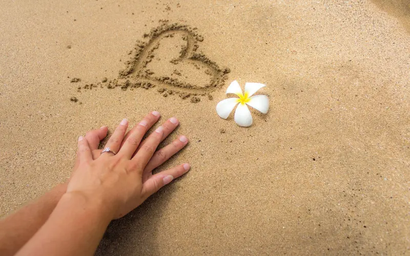 献给——嘴笨，心却真的人！