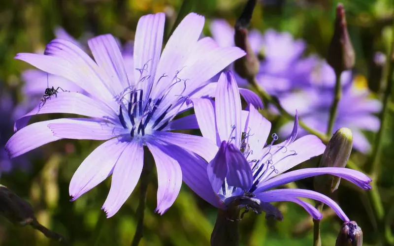 详解挽回女友中高位挽回和低位挽回的区别，高位挽回女友的方法