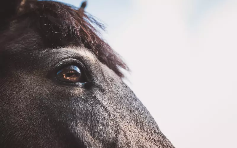 细节决定成败!挽回爱情过程中不可忽视这些小细节