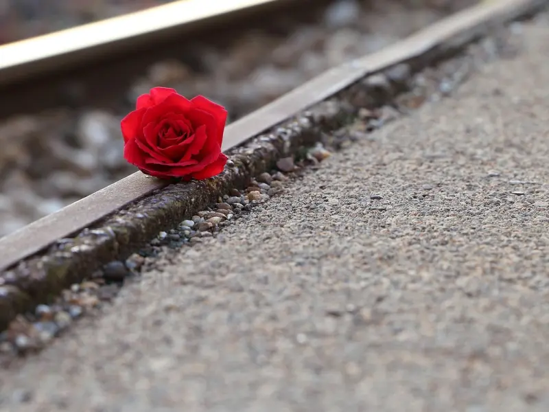 他的离开是因为不爱你吗？只是你没有了被爱的价值