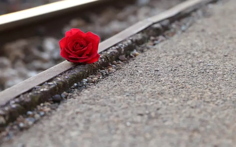 他的离开是因为不爱你吗？只是你没有了被爱的价值