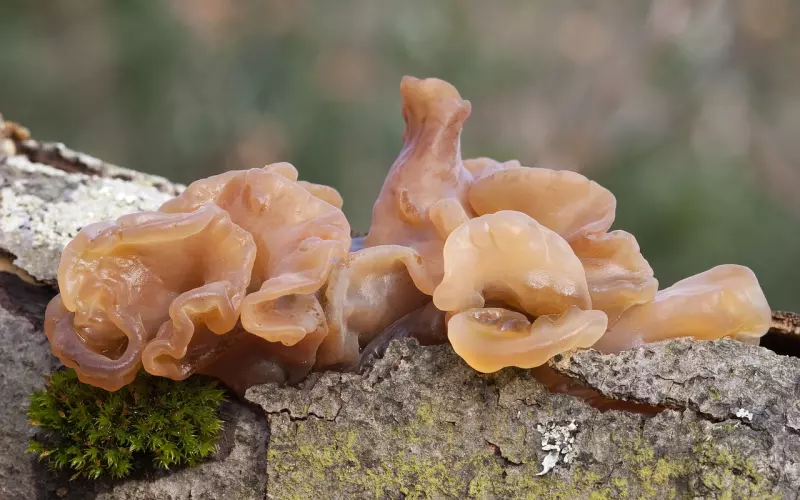 她是不是从来没有爱过我？