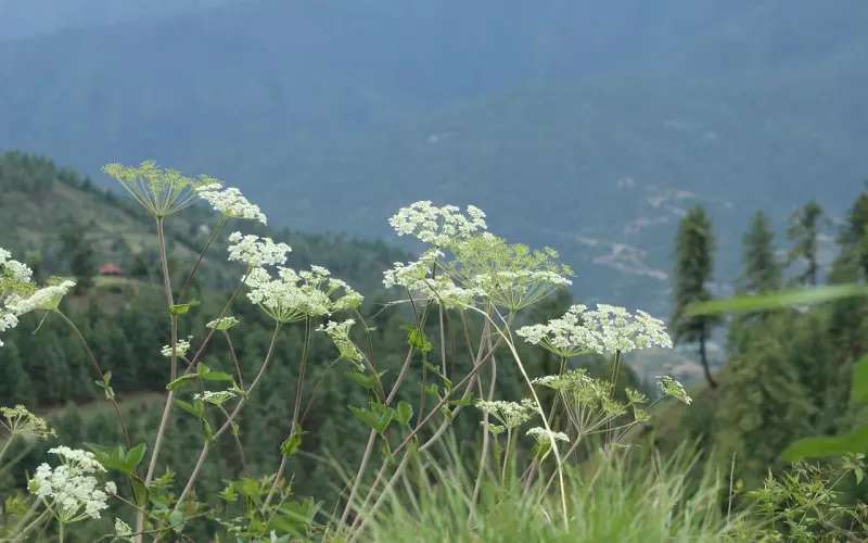 遇到别人找你借钱？这是我见过最好的回答！