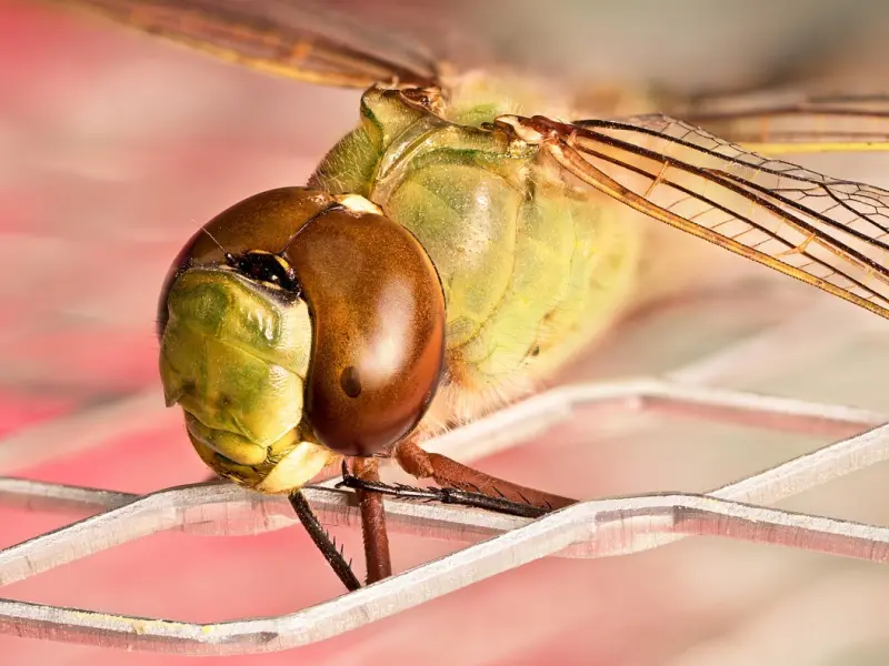 挽回之后情况变差？挽回绝情女友你需要怎么做