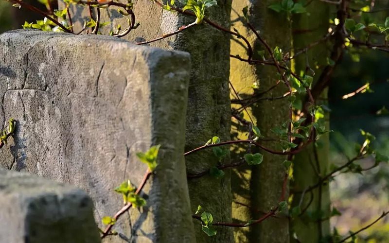 30岁脱单和20岁脱单可能面临的不同困扰