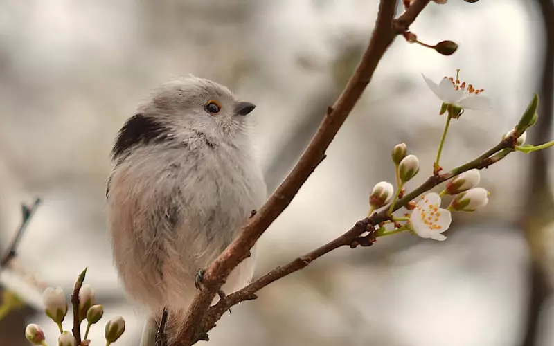 不同类型的分手 挽回方法不一样