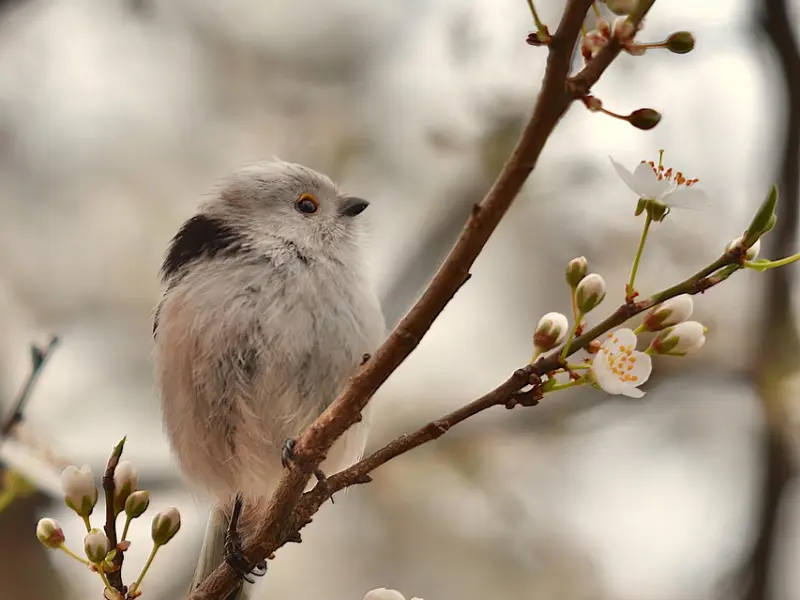 不一样的情人节，一样的爱！