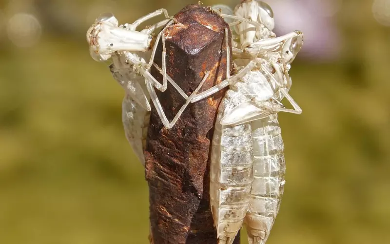 勤，改变命运；善，改变人生