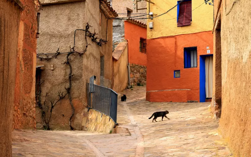 断联、主动联系、新鲜感、机会、天生测试家、出轨