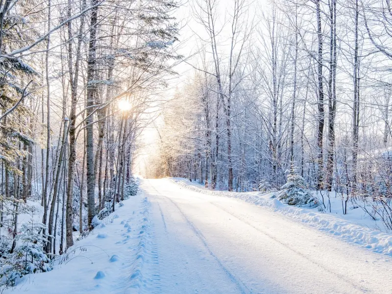 离婚！结婚！冰火两重天！