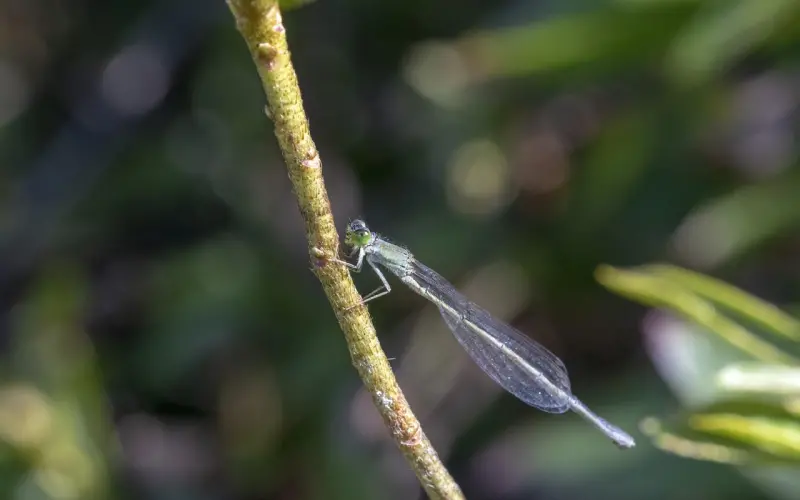 离婚这种大规模杀伤性武器，能不用尽量别用