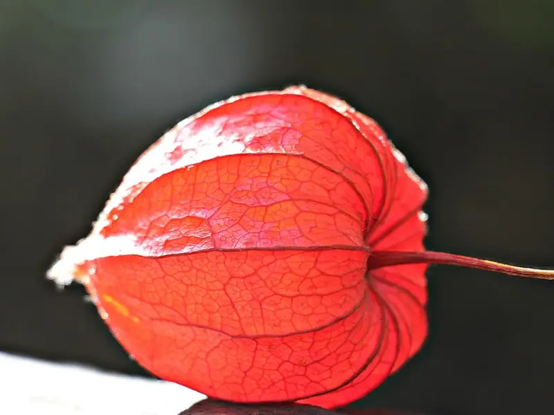 男生和女生分手后想的，真的一样吗？