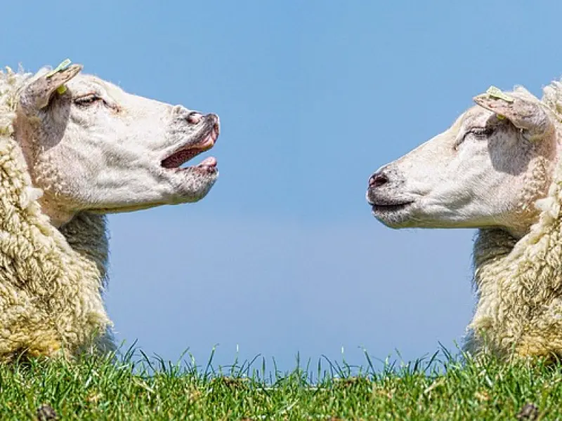 情侣间总是吵架？记住这5点，学会“有效沟通”