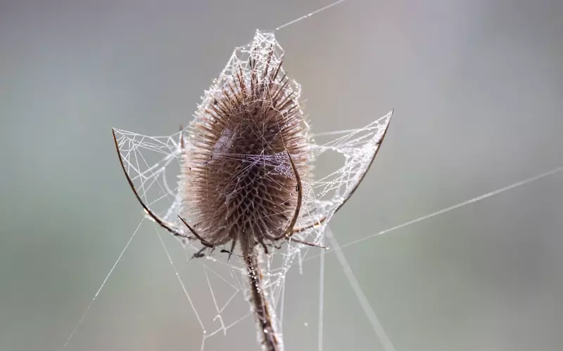 分手了一定要断联系吗？挽回断联有用吗？