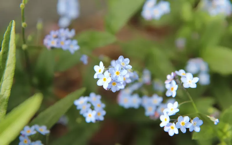 拉黑我的男人要不要去挽回？