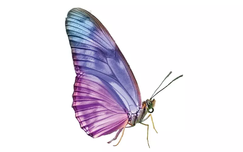 婚姻修复机构真的有用吗？破镜重圆公司挽回老公个案分享