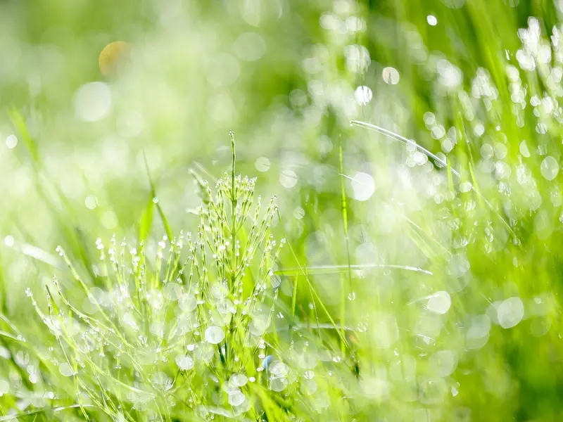 做到这几点，让他非你不可