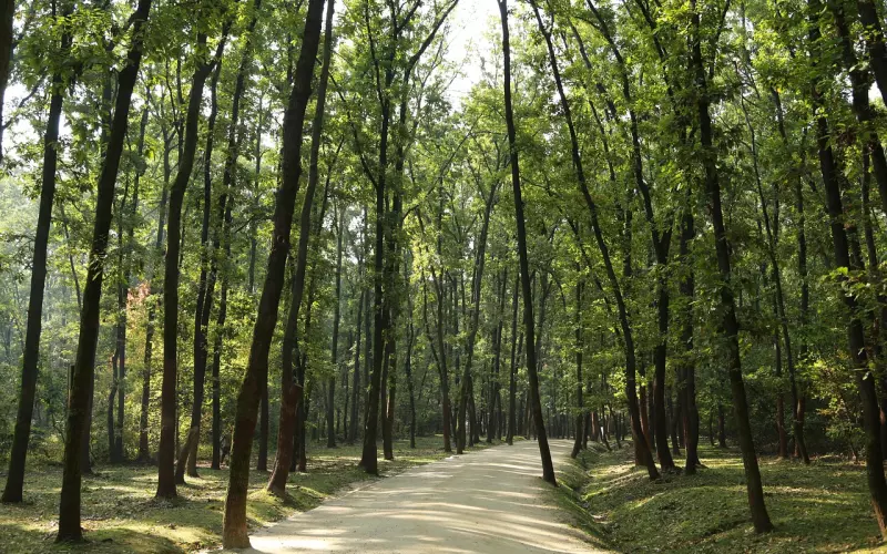 做好这些，他会主动来挽回你