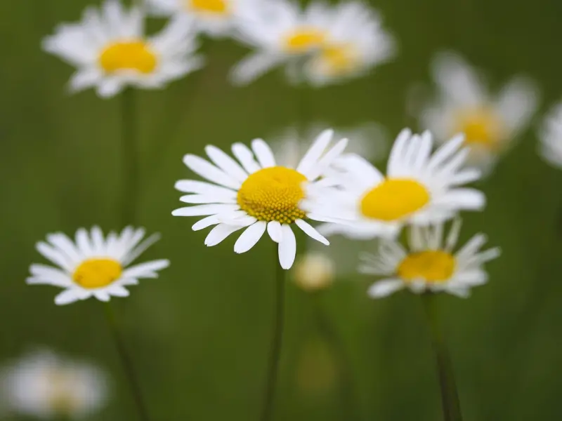 做好这三件事，保管前任会非常的溺爱你