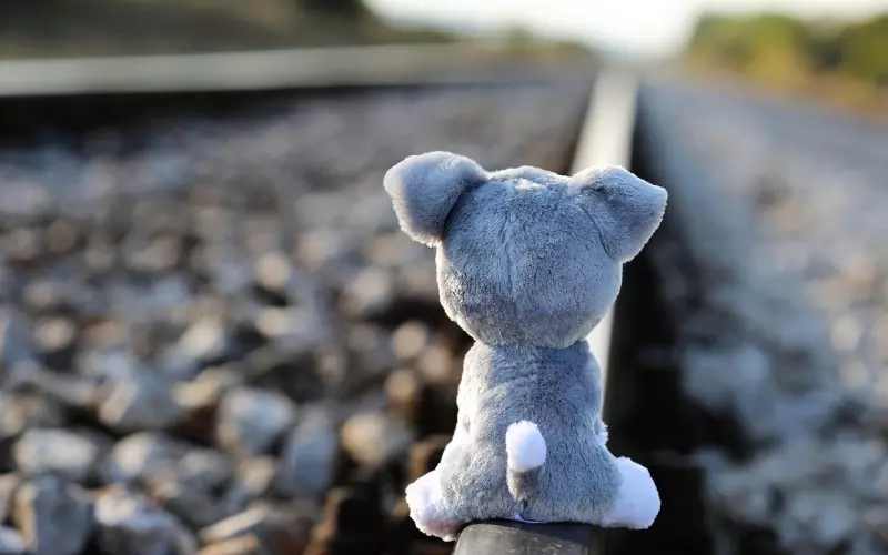 老是和他吵架吗？可能是因为你的情绪价值太低了