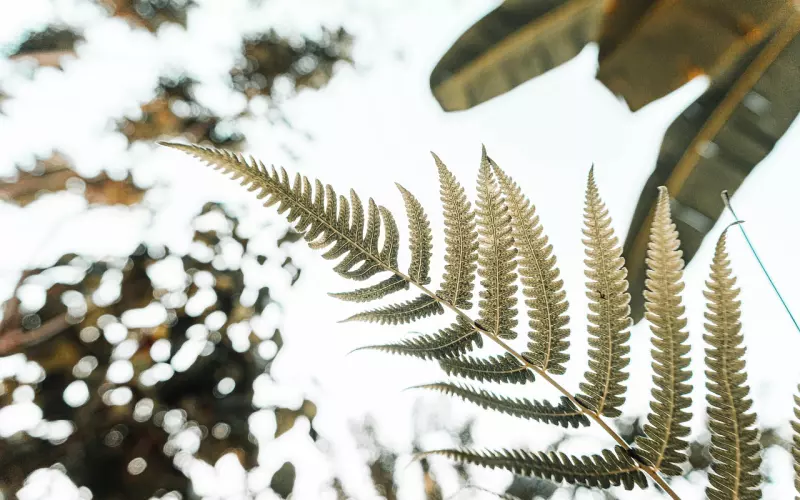 你总是和女生尬聊？用这3个技巧，妹子会爱上和你聊天