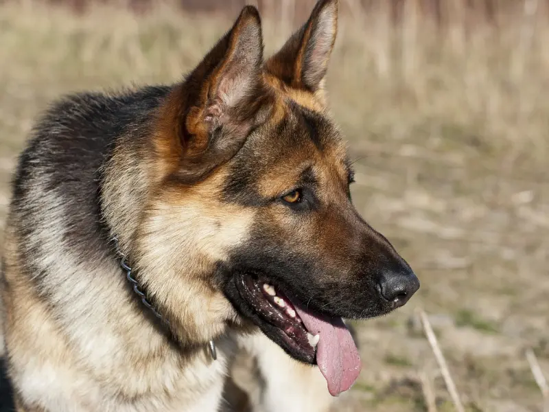 ?♬ 2016夫妻合同，敢签么。。笑死我了。。。