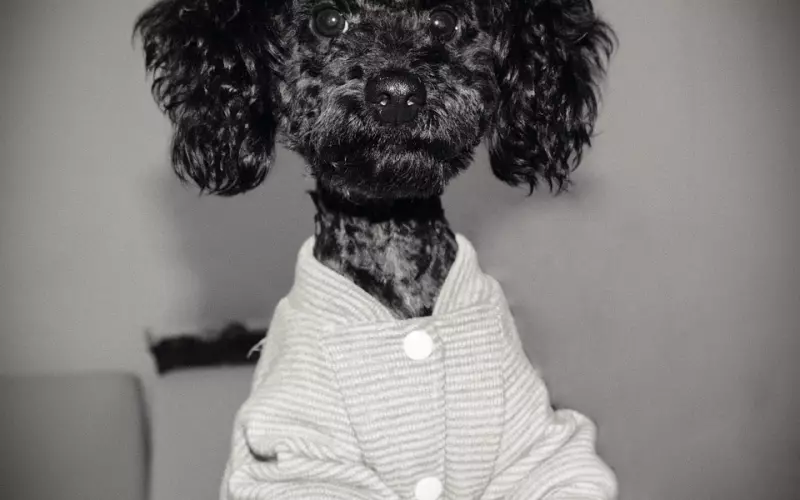 丢了我，你心疼？