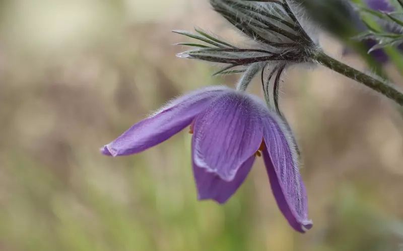 常见的几种导致挽回失败的想法，你有吗？