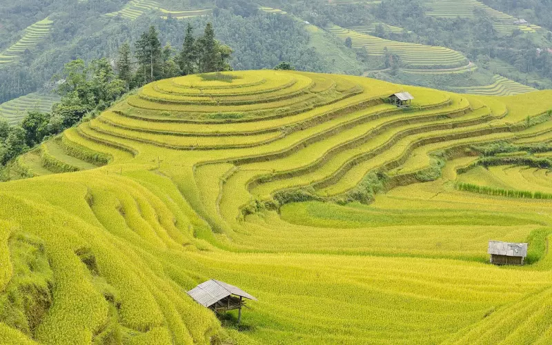 你知道瓦素塔的鬼王Thao Vetsuwan 涛威素湾是全泰第一吗？