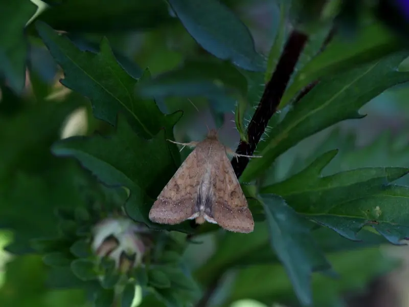女人在这3个时间段，最需要男人，你知道吗？