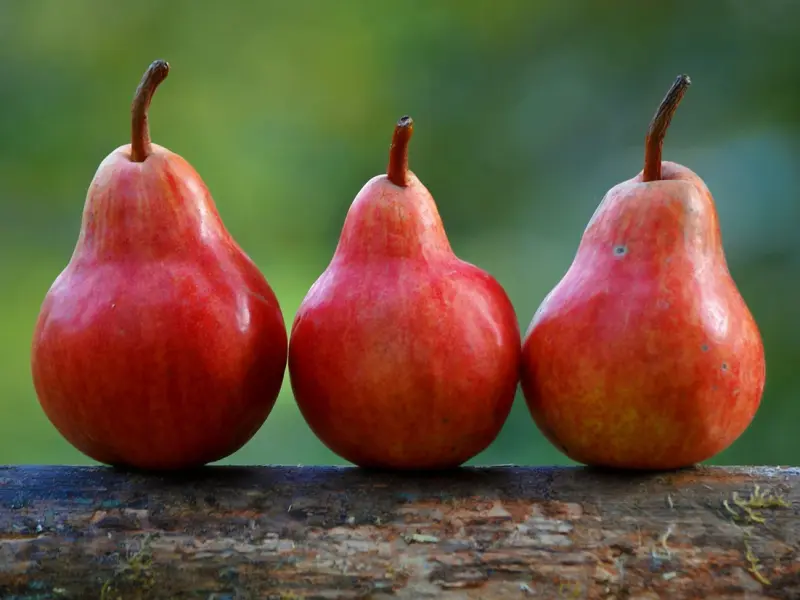 击退小三挽回婚姻的三个秘诀，你知道吗？