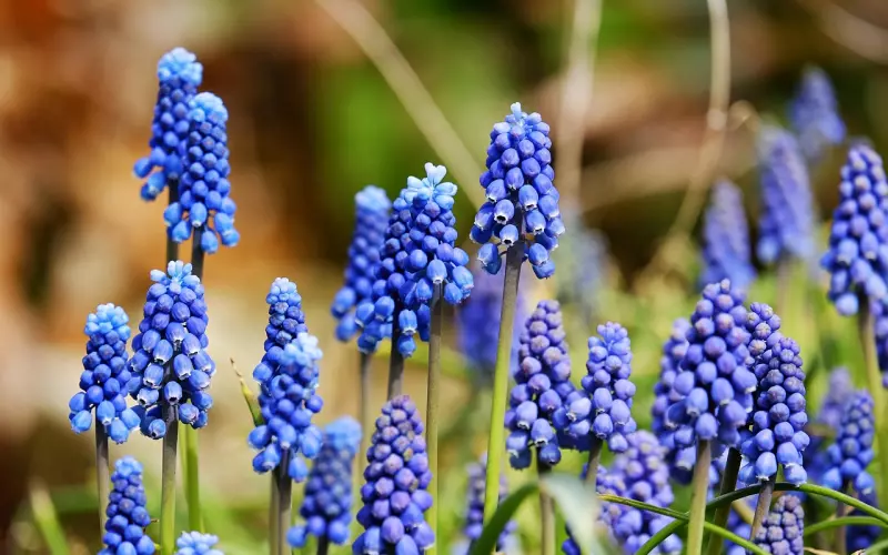 爱情中最容易被忽视的这点，你知道吗？