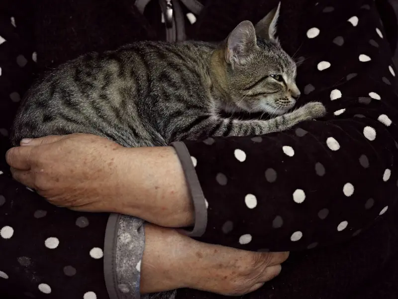 女人最爱坏男人的这几招，你知道吗？