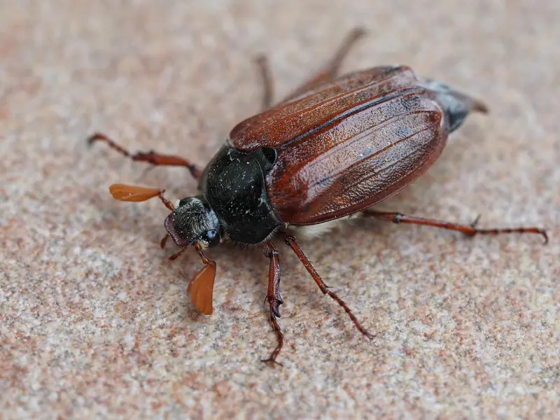 你是喜欢她，还是在发泄