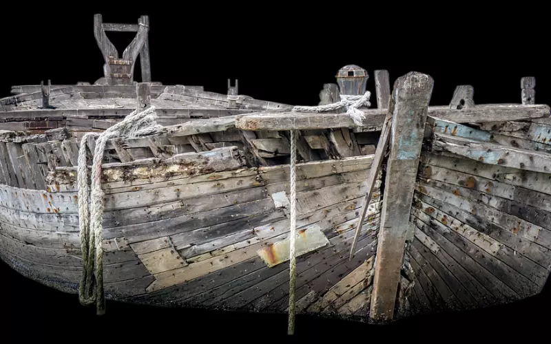 失去的人要不要死缠烂打的挽回