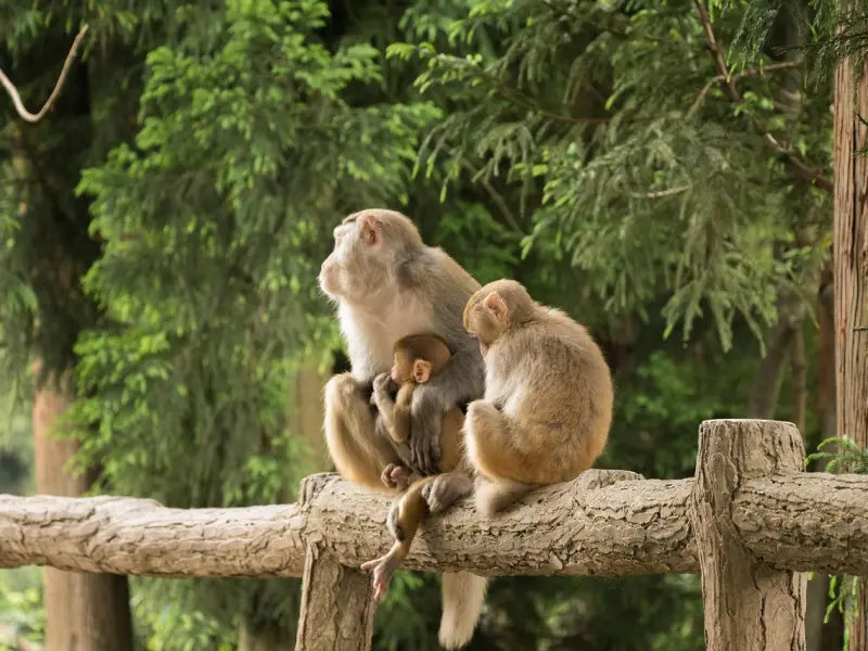 你只会蹦迪、K歌吗？解锁都市男女约会新招式 | 把妹地图