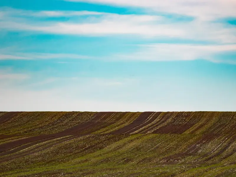 难道真要等离开之后，才发现前任的好？还是想清楚再决定