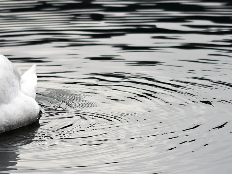 你看到的是对手还是目标？