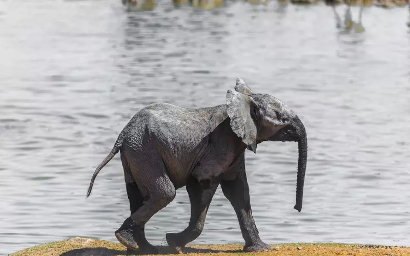 被拉黑还要去挽回吗