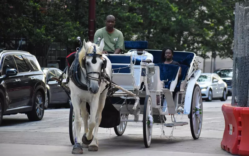 已婚妇女去约会初恋，你觉得对？