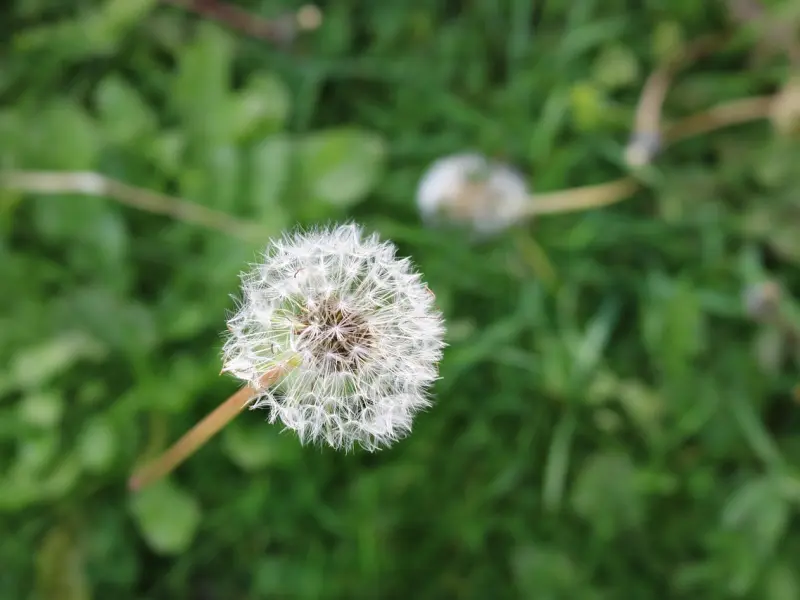你会不会认为对方这样的举动，是刻意和你划清界线