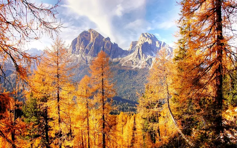 挽回的你了解男人真正需要的是什么吗？懂得这样提供情绪价值，才能牢牢拴住他