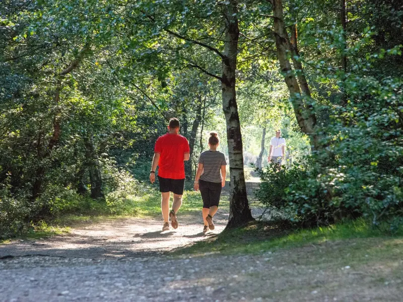 想让她给你“吹喇叭”吗？逆天的把妹技巧核武器三两句你就懂了！