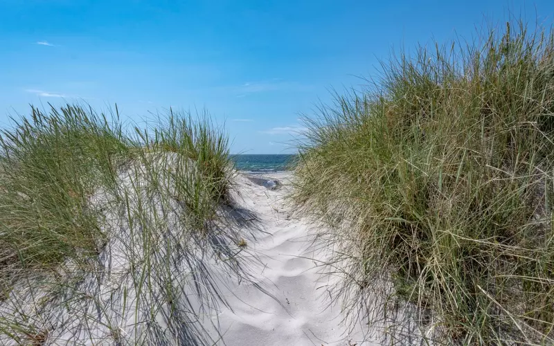 世界上最显瘦的裙子你要不要，怎么可以这么瘦！